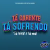 About TÁ CARENTE TÁ SOFRENDO TÁ TRISTE E TÁ MAL Song