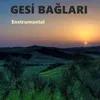 About Gesi Bağları Song