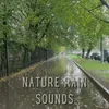 Nature Rain Sounds