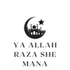 About Ya Allah Raza She Mana Song