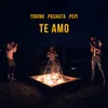 About Te Amo Song