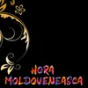 muzica moldoveneasca vesela