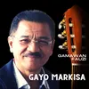 About Gayo markisa Song