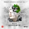 About Say Goodbye Song