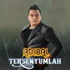 About Tersenyumlah Song