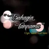 About Bahagia Tanpamu Song