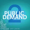 About Public Demand 2 Song