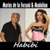 About Habibi Song