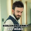 About Dut Ağacı Song