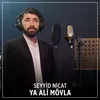 About Ya Ali Mövla Song