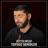 About Toysuz Şehidler Song