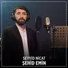 About Şehid Emin Song