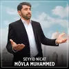 About Mövla Muhammed Song
