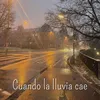 Lluvia Relajacion Y Meditacion Relax