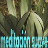 The Relaxing Meditative Ambient Music