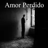 About Amor Perdido Song