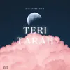 About Teri Tarah Song