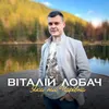 About Яка ти чарівна Song