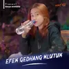 About Efek Gedhang Klutuk Song