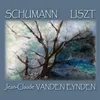 Fantaisie, Op. 17: III. Langsam getragen. Durchweg leise zu halten. - Etwas bewegter. - Nach und nach bewegter und schneller. - Adagio