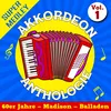 Super Medley Madison (Madison Country, Venez Danser Le Madison, Jazzy Madison, Chanter Madison, Madison Garden, Madison Rose, Madison Au Saloon, Madison Par Là, Le Madison)