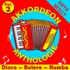 Super Medley Disco (Brasilia Carnaval, Born To Be Alive, Comment Ça Va, a Présent Tu Peux T'en Aller, Ymca, la Musique, Can't Take My Eyes Off You, Marina, Les Sunlights Des Tropiques, Macumba, Bailando, D.I.S.C.O., Haut Les Mains, I Will Survive)