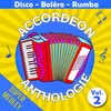 Super medley disco (brasilia carnaval, born to be alive, comment ça va, a présent tu peux t'en aller, ymca, la musique, can't take my eyes off you, marina, les sunlights des tropiques, macumba, bailando, d.I.S.C.O., Haut les mains, I will survive)