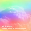 About All I Want Song