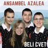 About Beli cvet Song