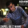 About Zapel se z mano Song