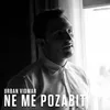 About Ne me pozabit Song