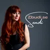 About Zbudi se Song