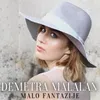 About Malo fantazije Song