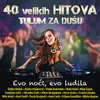 About Gdje Si Bila Cijelu Noć Song