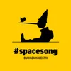 Space Song Diskobajagi Remix