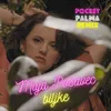 About Biljke Pocket Palma Remix Song