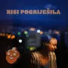 About Nisi pogriješila Song
