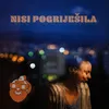 Nisi pogriješila