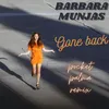 About Gone Back Pocket Palma Remix Song