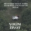 About Volim život Song