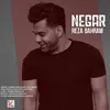 About Negar Song