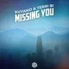 About Missing You Song