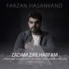 About Zadam Zire Harfam Song