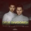 About Dele Divooneh Song