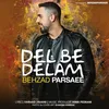 About Del Be Delam Song