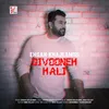 About Divooneh Hali Song