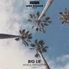 Big Lie Vinylsurfer Remix