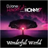About Wonderful World Song