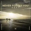 About Never Forget You Song