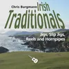 Slip Jigs in D Minor: The Hills of Ireland / Up and Down Again